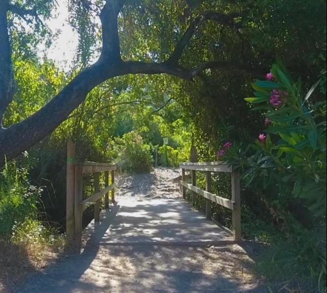 La Buhardilla De Torrecillas El Bosque Kültér fotó