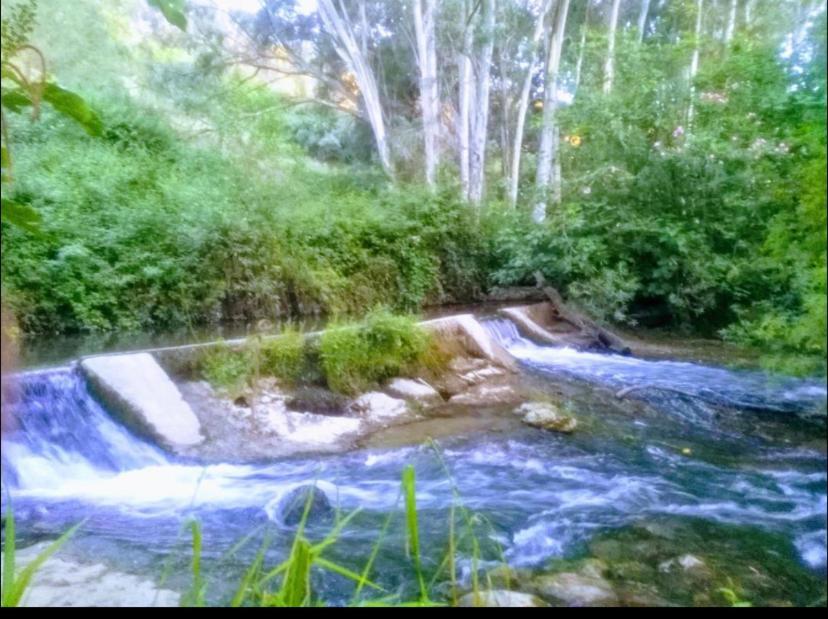 La Buhardilla De Torrecillas El Bosque Kültér fotó